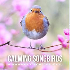 Calming Songbirds: A Hammock for the Soul by Nature Sound Library audiobook