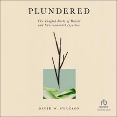 Plundered by David W. Swanson audiobook