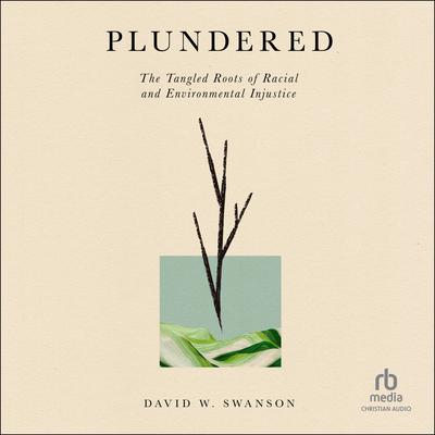 Plundered by David W. Swanson audiobook