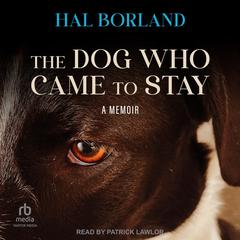The Dog Who Came to Stay by Hal Borland audiobook