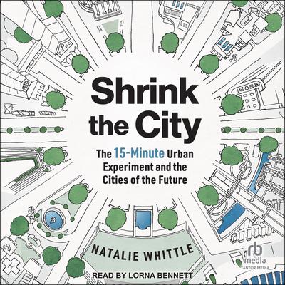 Shrink the City by Natalie Whittle audiobook