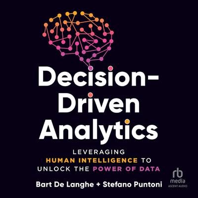 Decision-Driven Analytics by Bart De Langhe audiobook
