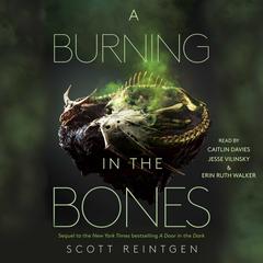 A Burning in the Bones by Scott Reintgen audiobook