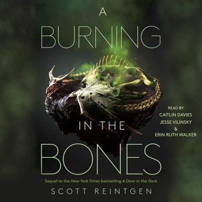 A Burning in the Bones by Scott Reintgen audiobook