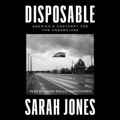 Disposable by Sarah Jones audiobook