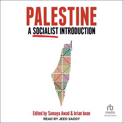 Palestine by Sumaya Awad audiobook