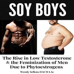 SOY BOYS by Wendy Sellens Bronson DACM, LAc audiobook
