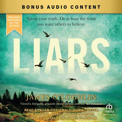 Liars by James O'Loghlin audiobook