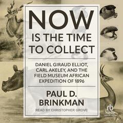 Now Is the Time to Collect by Paul D. Brinkman audiobook