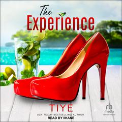 The Experience by Tiye  audiobook