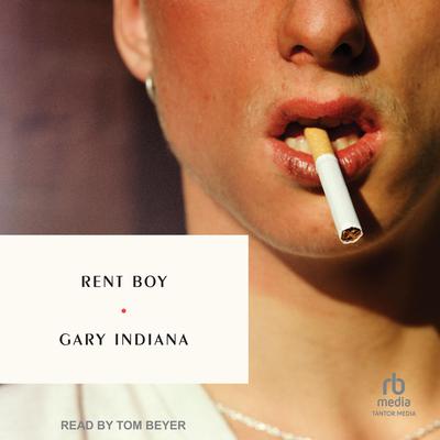 Rent Boy by Gary Indiana audiobook