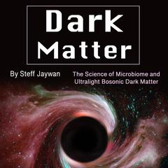 Dark Matter by Steff Jaywan audiobook