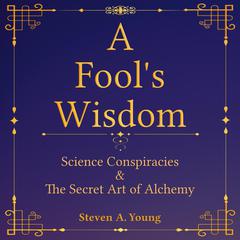A Fool's Wisdom by Steven A. Young audiobook