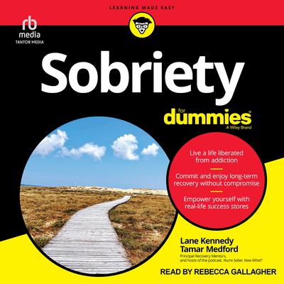 Sobriety For Dummies by Lane Kennedy audiobook