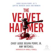 The Velvet Hammer by  Chief Judge Belvin Perry Jr. audiobook