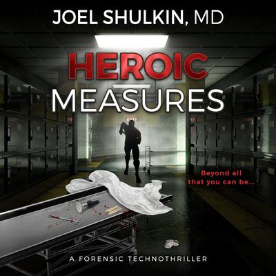 Heroic Measures by Joel Shulkin audiobook
