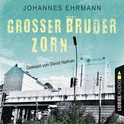 Großer Bruder Zorn (Ungekürzt) by  Nicholas Pegg audiobook
