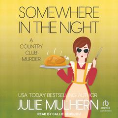 Somewhere in the Night by Julie Mulhern audiobook