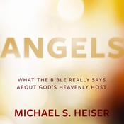 Angels by  Michael S. Heiser audiobook