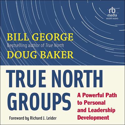 True North Groups by Doug Baker audiobook