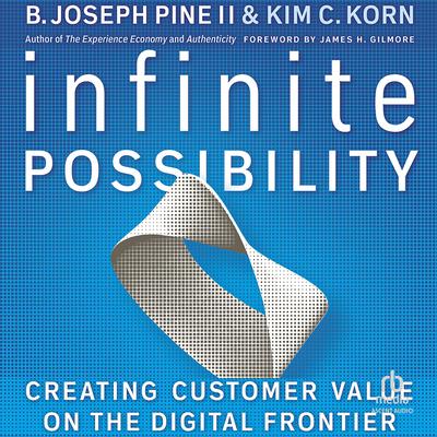 Infinite Possibility by Kim C. Korn audiobook