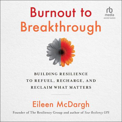 Burnout to Breakthrough by Eileen McDargh audiobook