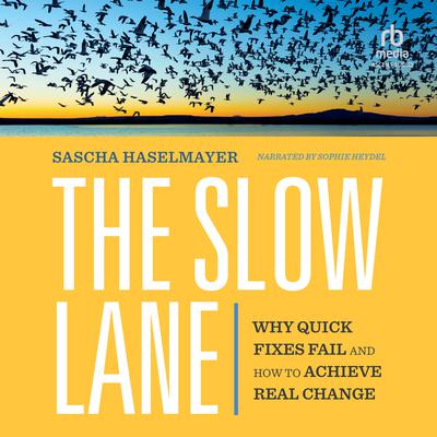 The Slow Lane by Sascha Haselmayer audiobook