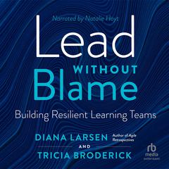 Lead Without Blame by Diana Larsen audiobook