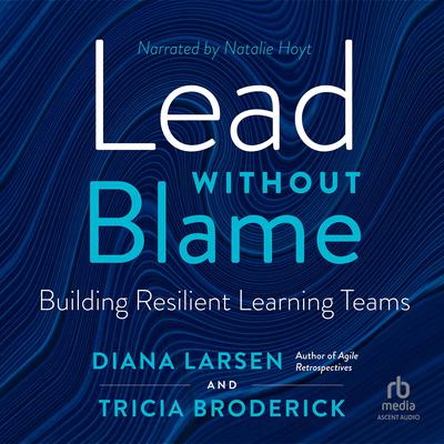 Lead Without Blame by Diana Larsen audiobook