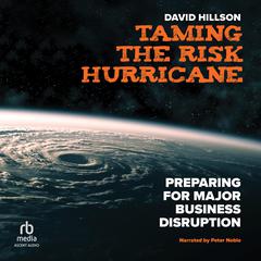 Taming the Risk Hurricane by David  Hillson audiobook