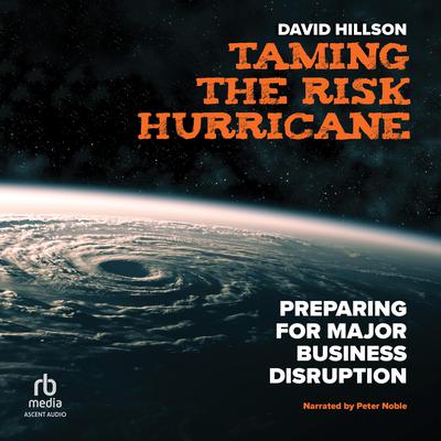 Taming the Risk Hurricane by David  Hillson audiobook
