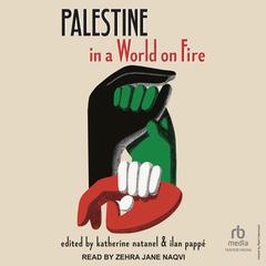Palestine in a World on Fire by Ilan Pappe audiobook