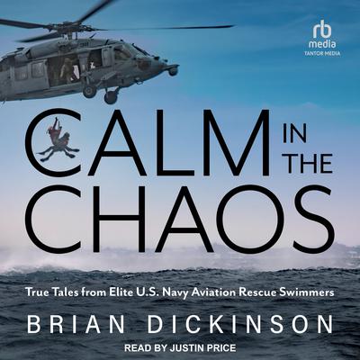 Calm in the Chaos by Brian Dickinson audiobook