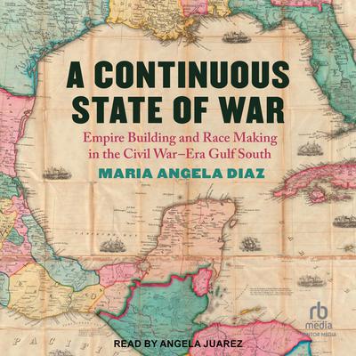 A Continuous State of War by Maria Angela Diaz audiobook