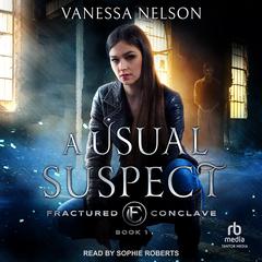 A Usual Suspect by Vanessa Nelson audiobook