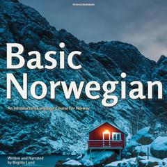 Basic Norwegian by Birgitte Lund audiobook