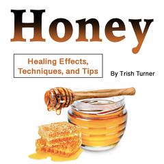 Honey by Trish Turner audiobook