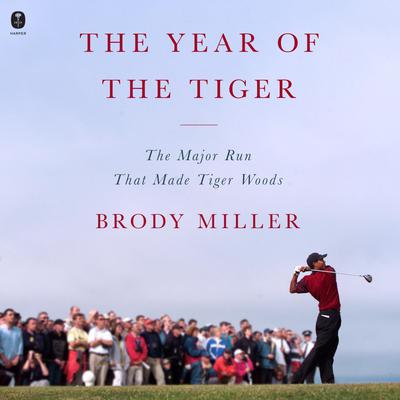 The Year of the Tiger by Brody Miller audiobook