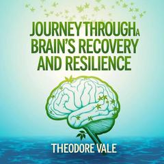 Journey Through a Brain's Recovery and Resilience by Theodore Vale audiobook