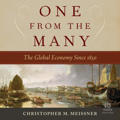 One From the Many by Christopher M. Meissner audiobook