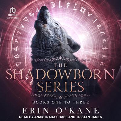 The Shadowborn Series by Erin O'Kane audiobook