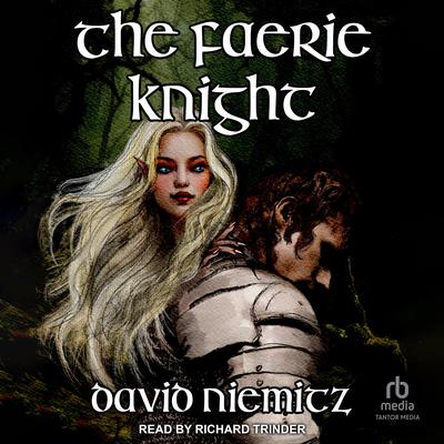The Faerie Knight by David Niemitz audiobook