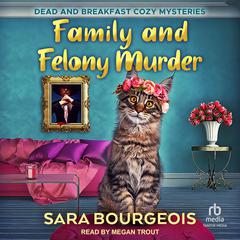 Family and Felony Murder by Sara Bourgeois audiobook