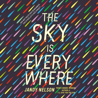 The Sky Is Everywhere by Jandy Nelson audiobook
