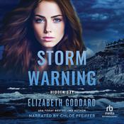 Storm Warning by  Elizabeth Goddard audiobook