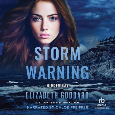 Storm Warning by Elizabeth Goddard audiobook