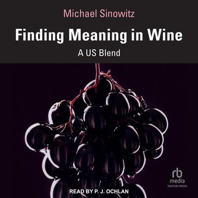 Finding Meaning in Wine by Michael Sinowitz audiobook
