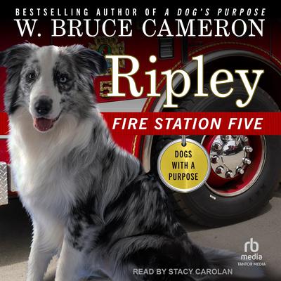 Ripley: Fire Station Five by W. Bruce Cameron audiobook