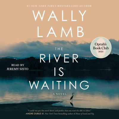 The River Is Waiting by Wally Lamb audiobook