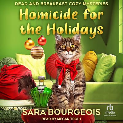 Homicide for the Holidays by Sara Bourgeois audiobook